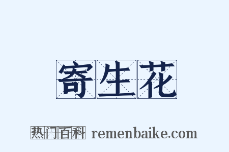 寄生花是什么意思的图片